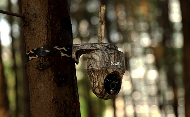 La imagen muestra una cámara pintada en camuflaje, atada a una madera con una correa, se describen 9 características clave en esta publicación que deben considerarse al comprar una cámara para trail