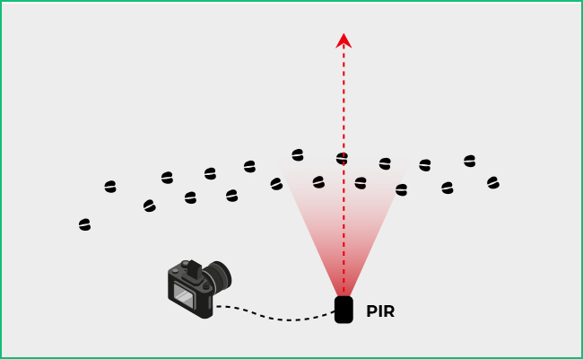 Esta imagen muestra cómo lanzar una cámara DSLR-DAMP para animales salvajes con motores de movimiento PIR