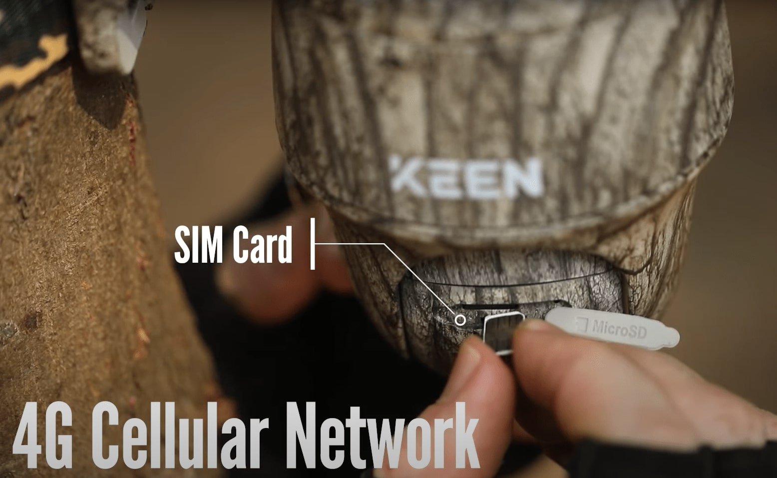 La tarjeta SIM se inserta en el celular de la naturaleza salvaj e-Keen Ranger PT